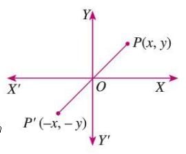 Symmetry, Reflection, and Rotation Chapter Notes | Mathematics Class 7 ICSE