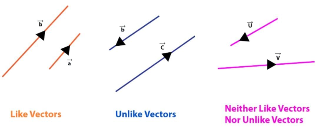 Vectors: Definition, Types & Unit Vectors | Physics for JEE Main & Advanced