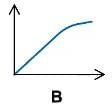 Ohm`s Law | Physics for Grade 10
