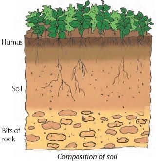 Soil Class 3 Notes Science