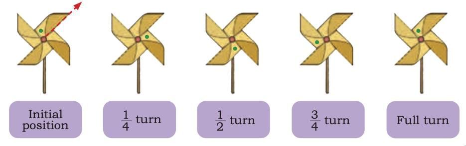 Symmetrical Designs Chapter Notes | Mathematics (Maths Mela) Class 5 - New NCERT