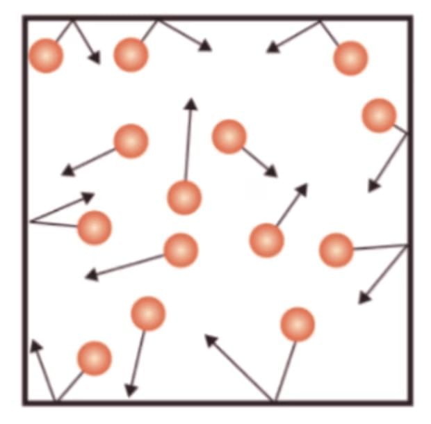 Force & Pressure Chapter Notes | Year 8 Physics (Cambridge) - Class 8