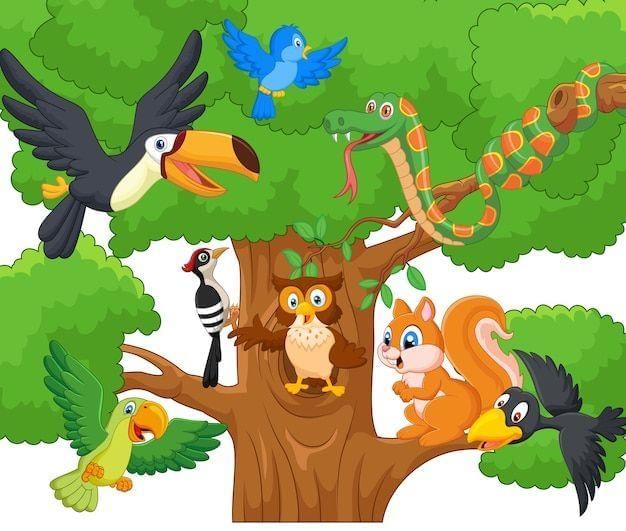 Cartoon collection animal on the trees | Premium Vector