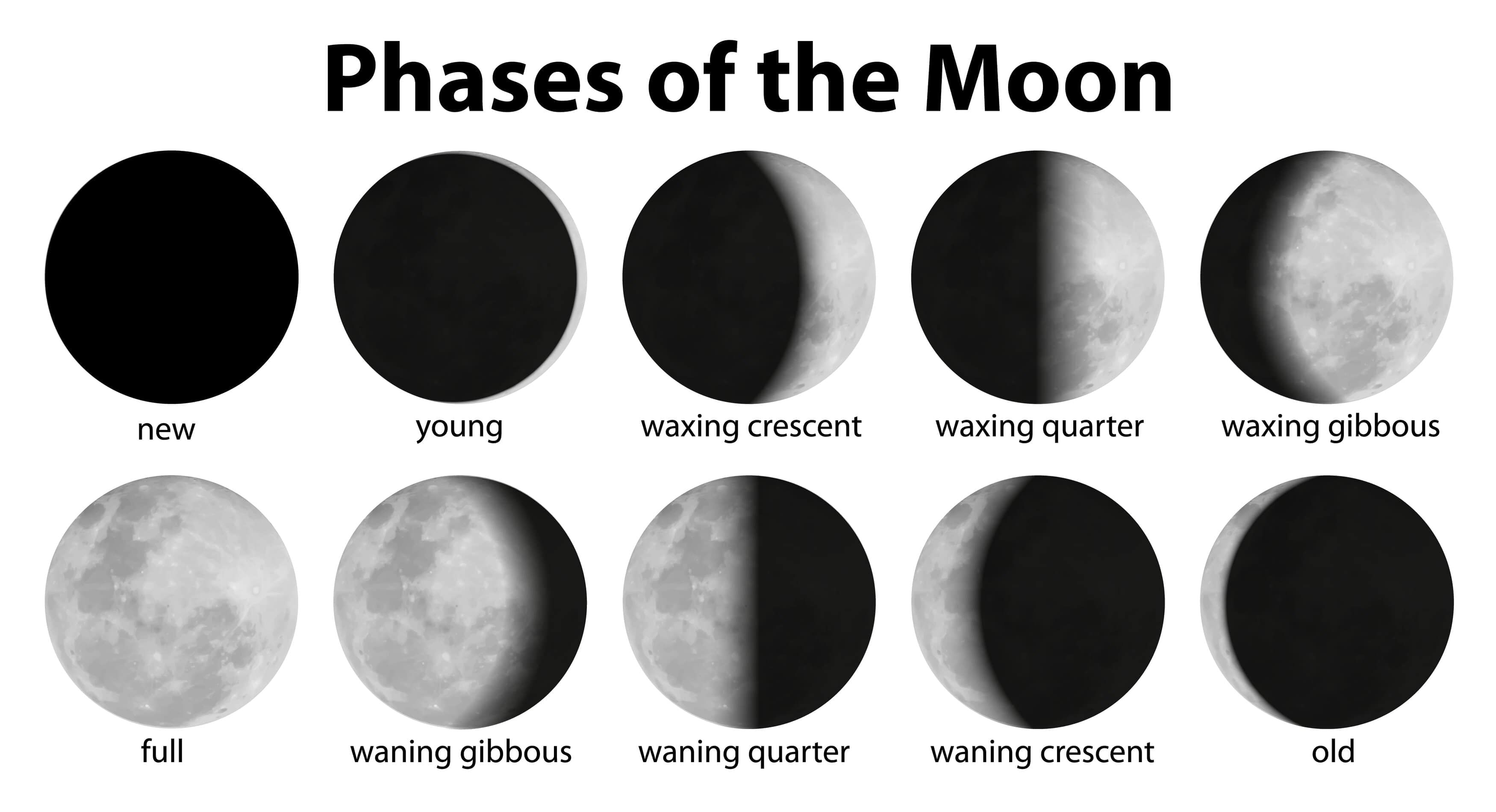 Very Short Answer Questions: Keeping Time with the Skies | Science Curiosity Class 8 -  New NCERT