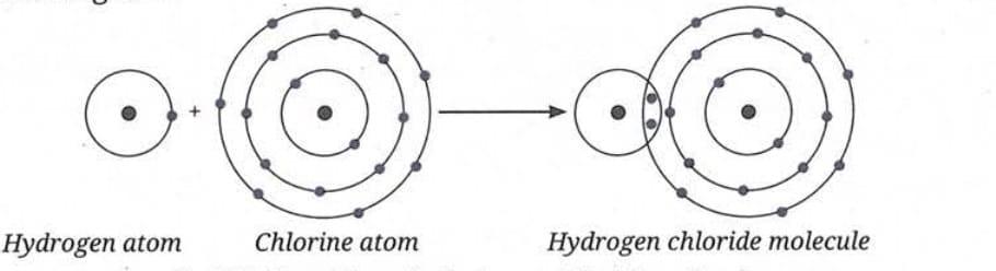 B. Molecules of Compounds