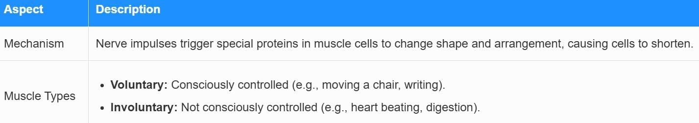 Cheat Sheet: Control and Coordination | Science Class 10