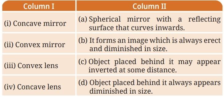 Light: Mirrors and Lenses NCERT Solutions | Science Curiosity Class 8 -  New NCERT