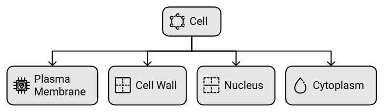 Cell and Cell Organelles Chapter Notes | Biology for SSS 1