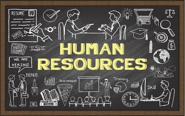 Class 8 Geography Chapter 5 Notes - Human Resources