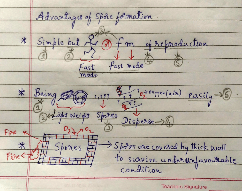 Overview of Asexual reproduction with amazing codes and tricks to remember the concept. - Class 10