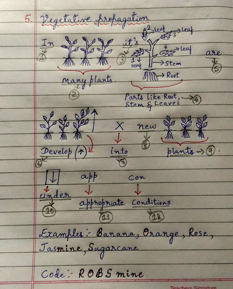 Overview of Asexual reproduction with amazing codes and tricks to remember the concept. - Class 10