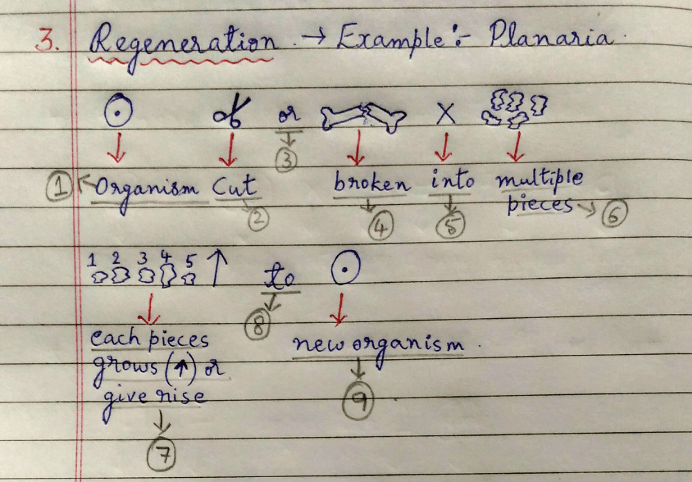 Overview of Asexual reproduction with amazing codes and tricks to remember the concept. - Class 10