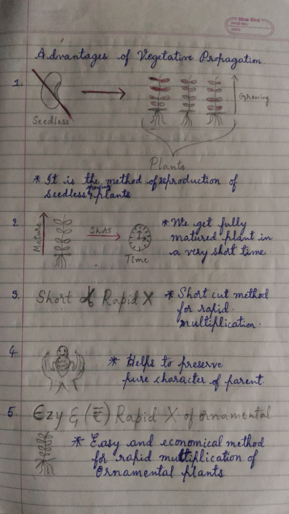 Overview of Asexual reproduction with amazing codes and tricks to remember the concept. - Class 10
