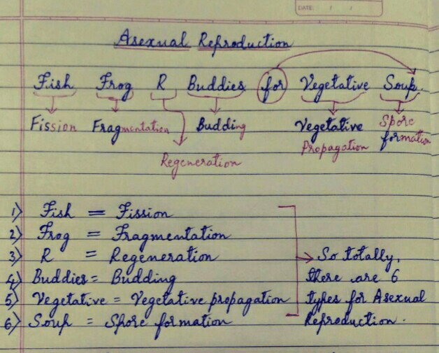 Overview of Asexual reproduction with amazing codes and tricks to remember the concept. - Class 10