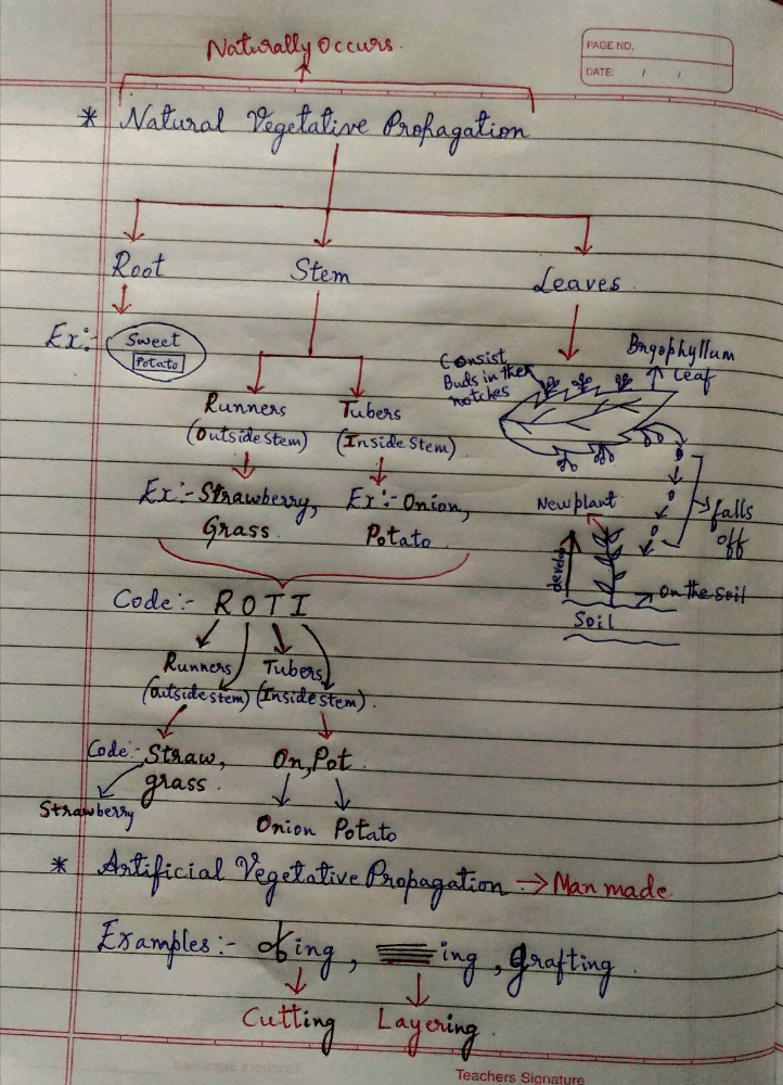 Overview of Asexual reproduction with amazing codes and tricks to remember the concept. - Class 10