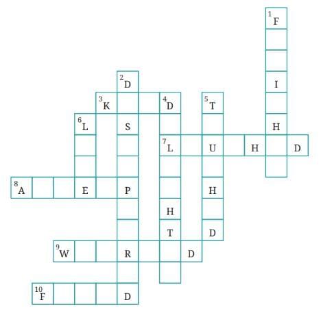 The Unlikely Best Friends NCERT Solutions | English for Class 6