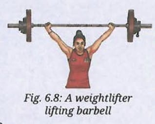 Pause and Ponder (Page 119)