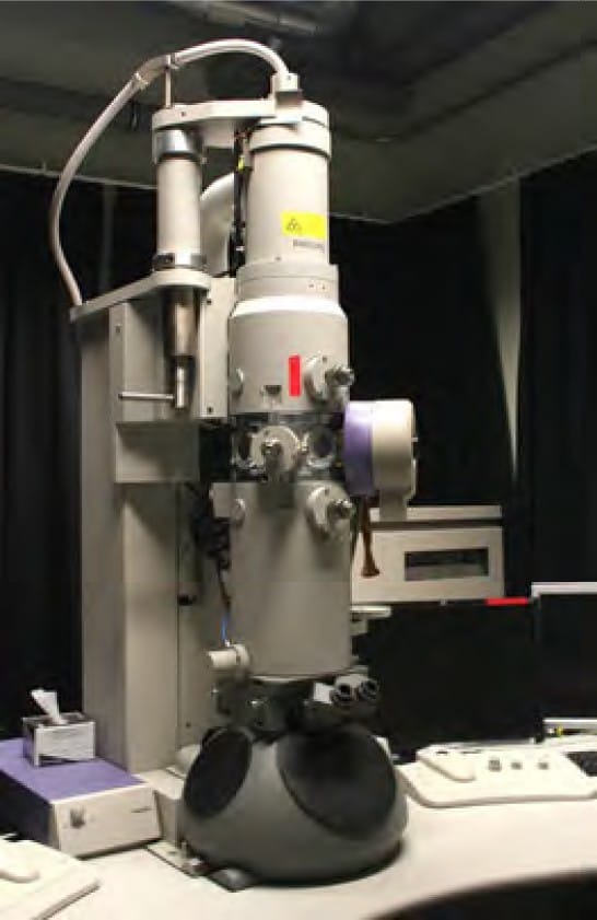Observing cells under a microscope