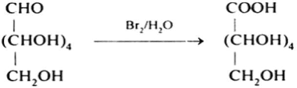 Very Short Answer Type Questions
