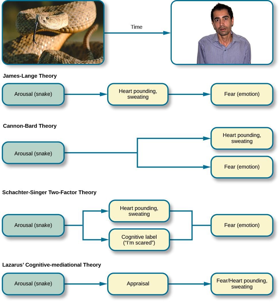 Theories of Emotions