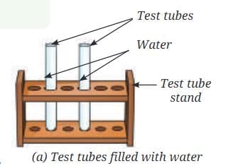 NCERT Based Activity: Nature of Matter: Elements, Compounds, and Mixtures | Science Curiosity Class 8 -  New NCERT