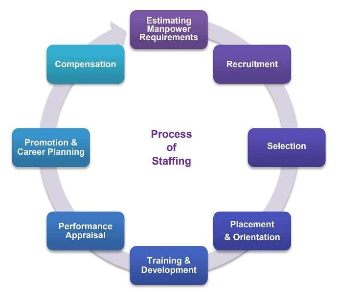 Staffing - Introduction to Management | NABARD Grade A & Grade B Preparation - Bank Exams