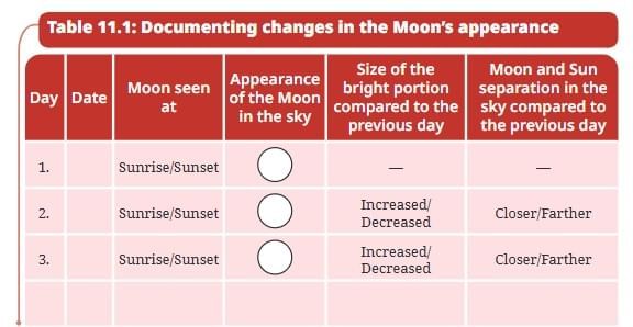 NCERT Based Activity: Keeping Time with the Skies | Science Curiosity Class 8 -  New NCERT