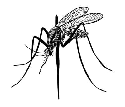 Animals Around Us - CBSE Worksheets- 1