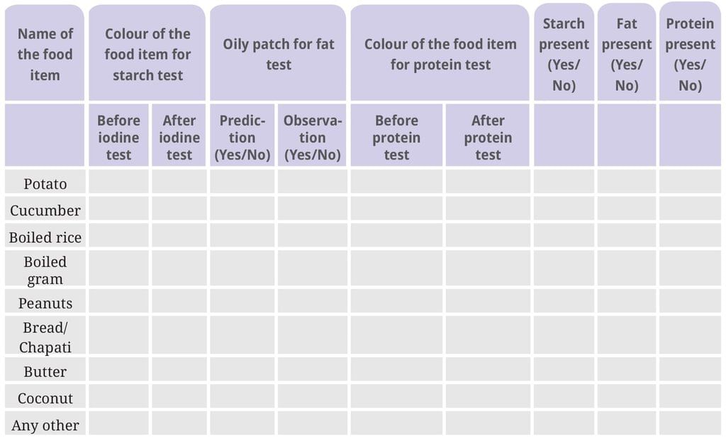 NCERT Based Activity:: उचित आहार— स्वस्थ शरीर का आधार | विज्ञान (जिज्ञासा) कक्षा 6 - Class 6