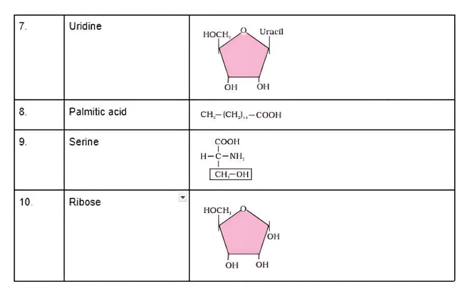 NCERT Solutions Class 11 Biology Chapter 9 - Biomolecules