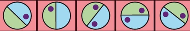 Important Questions: Shapes and Patterns | Mathematics (Maths Mela) Class 5 - New NCERT