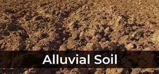 Soils of India - 1 Class 4 Worksheet SST