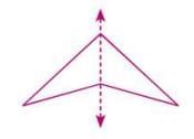Symmetry Chapter Notes | Mathematics Class 6 ICSE