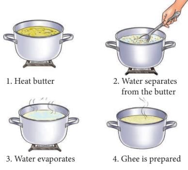 The Mystery of Food Chapter Notes | Our Wondrous World  Class 5 - New NCERT