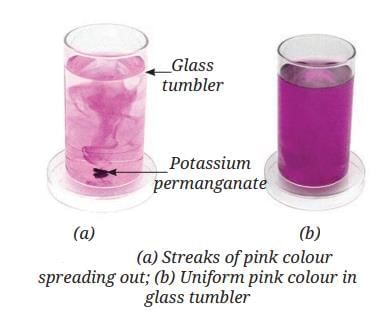 Particulate Nature of Matter Chapter Notes | Science Curiosity Class 8 - New NCERT
