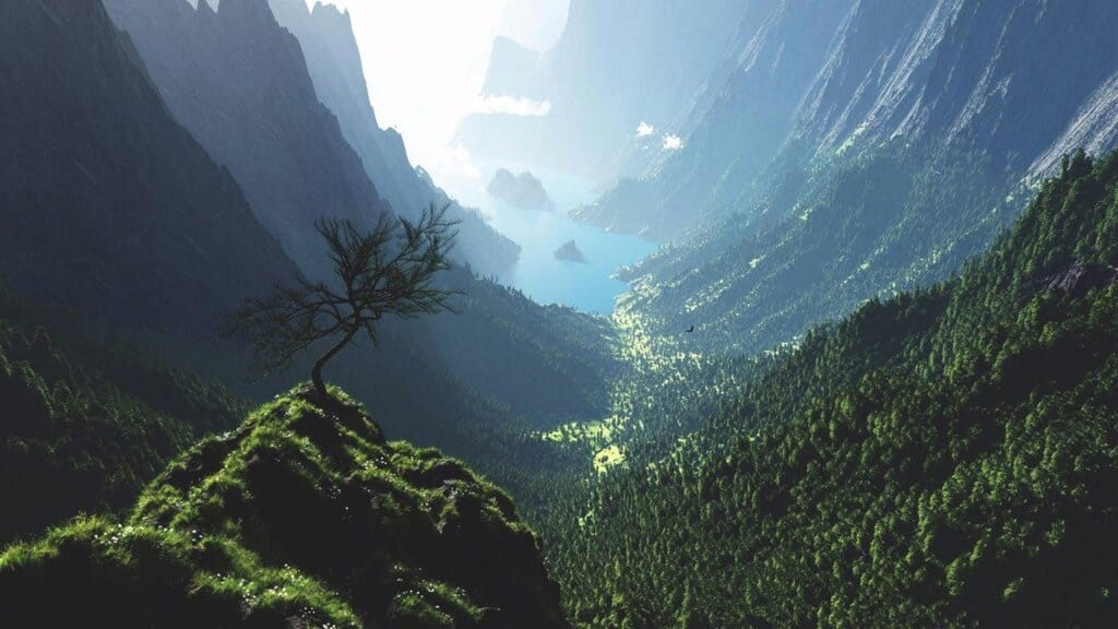 Interview - A Life Guided by Nature and Value