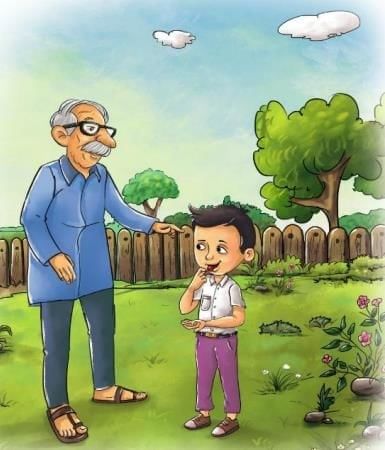 The Cherry Tree Chapter Notes | English Class 4 ICSE