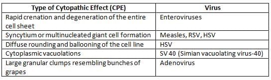 General Properties of Viruses Chapter Notes | Microbiology - NEET PG
