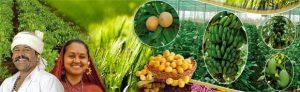 Gujarat: Agriculture - GPSC (Gujarat)