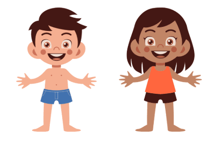 Human Body