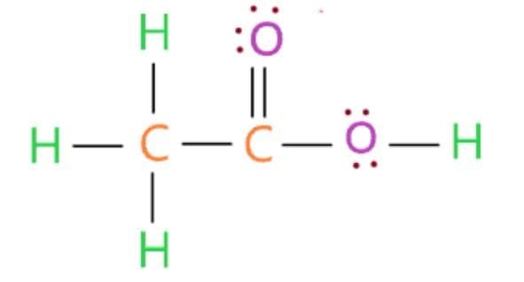 Previous Year Questions 2025