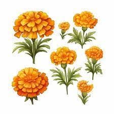 Q2: Fill in the Blanks.