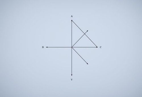 answer Image