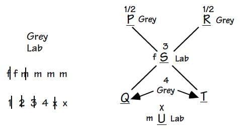 Practice Question - 42 (Complex Arrangement) | 100 DILR Questions for CAT Preparation