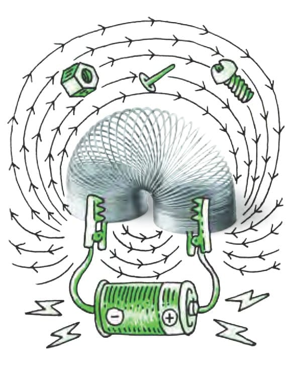 ACTIVITY: Research the discovery of light and electron microscopes