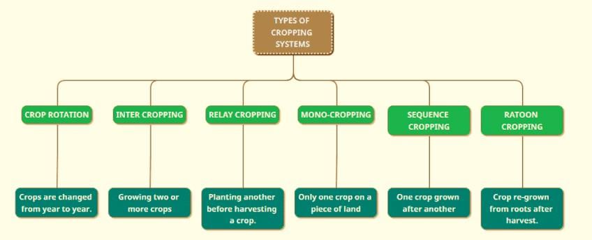 Vivek Singh Summary Agriculture - 2 | Indian Economy for UPSC CSE