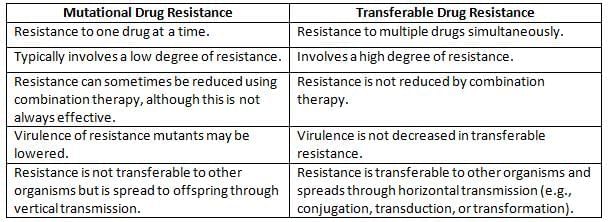 Bacterial Genetics and Antimicrobial Resistance Chapter Notes | Preparation for EmSAT Grade 10