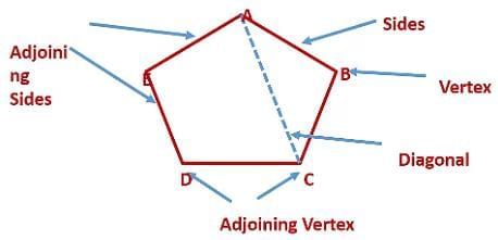 Basic Concepts in Geometry Chapter Notes | Mathematics Class 6 (SSC Board)