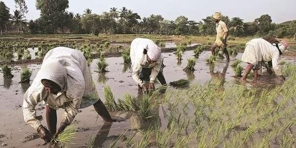 India`s Soil Crisis and the Imperative for Nutritional Agriculture