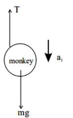 JEE Main Previous Year Questions (2016- 2025): Laws of Motion